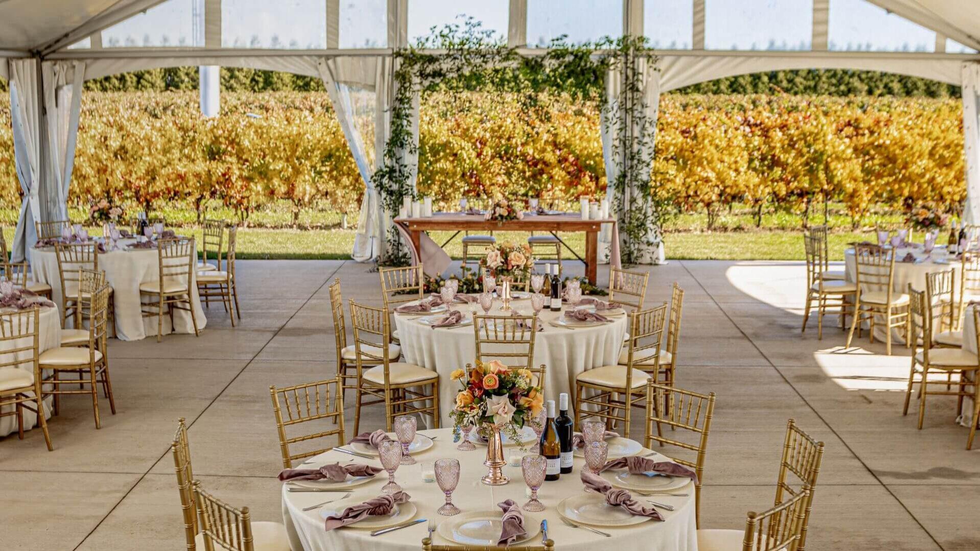 Elegant vineyard wedding reception at Bella Terra Vineyards in Niagara-on-the-Lake.