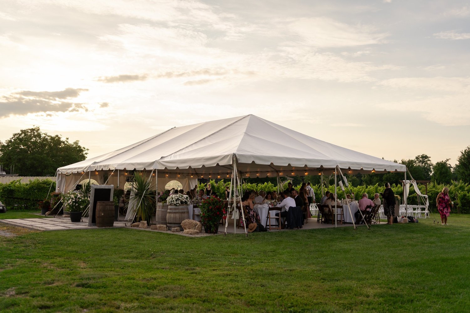 Marquee tent among the vineyard at 180 Estate Winery in Jordan Station