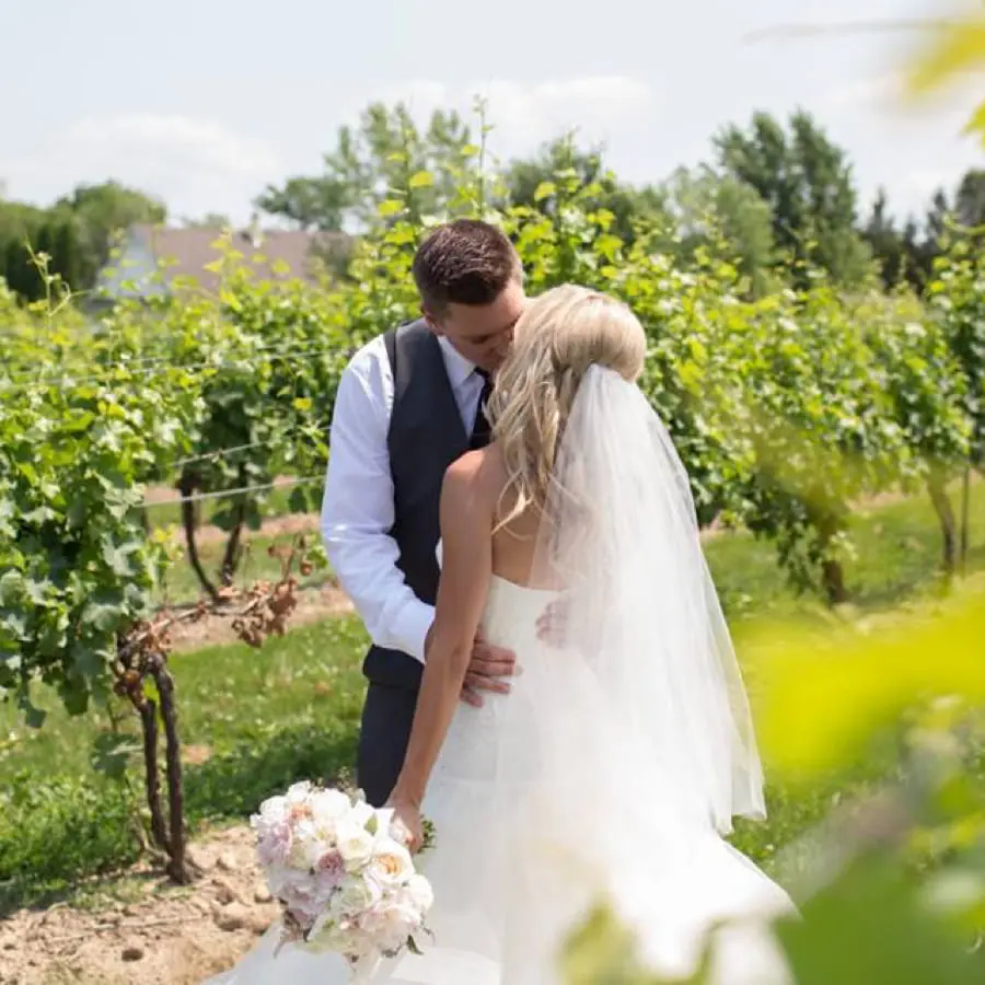 Wedding couple among the vines at Reif Estate Winery