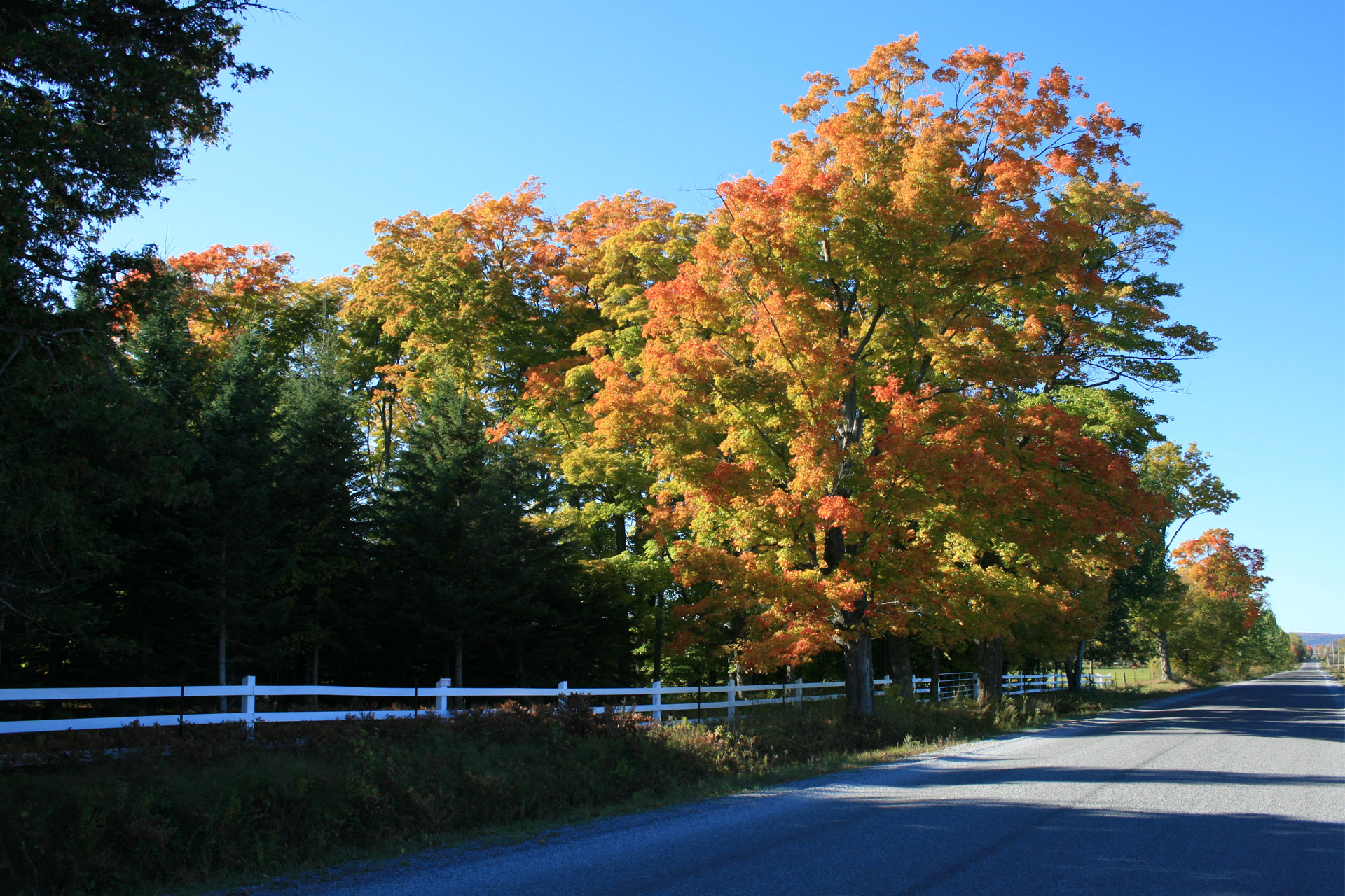 Autumn country road near Bancroft Ontario