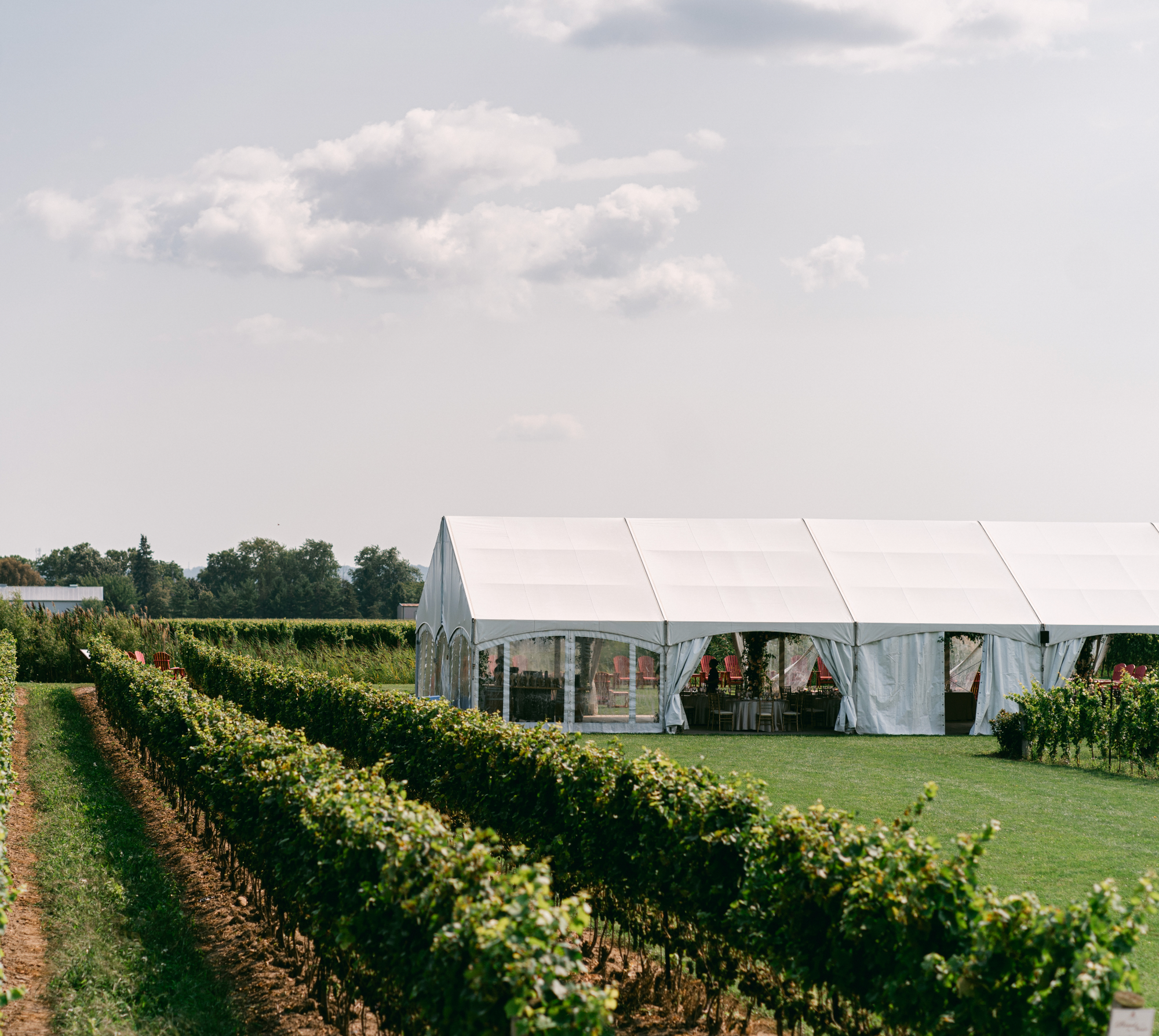 Bella Terra Vineyards wedding setting in Niagara wine country
