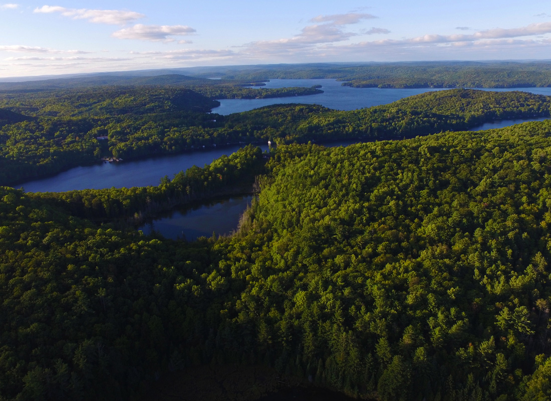 Bancroft wedding DJ destination surrounded by Ontario forest and lakes