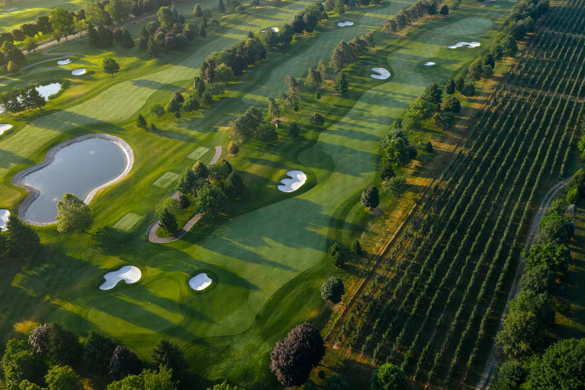 Aerial view of The Hawk golf course