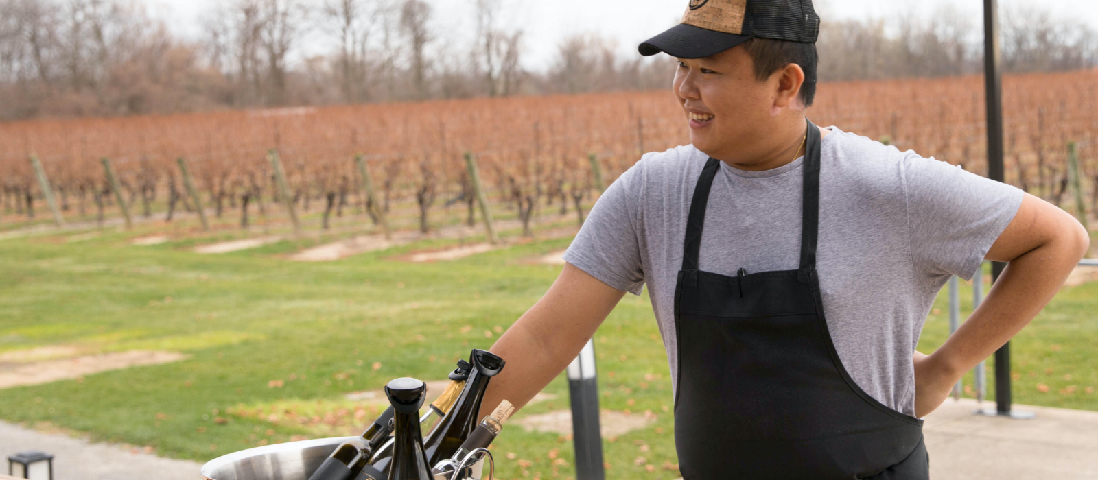 Vineyard hospitality at Jackson-Triggs Niagara Estate